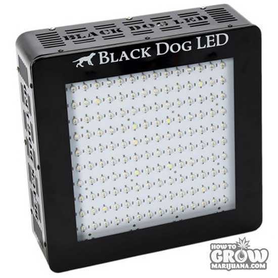 Black-Dog-LED-BD360-U-LED-Grow-Light