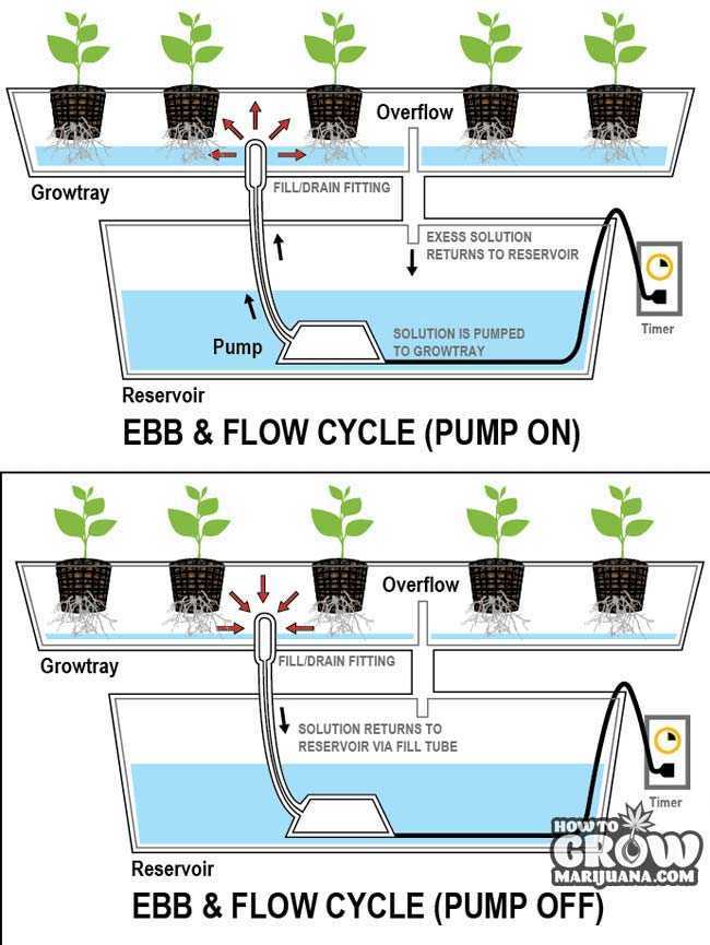 Ebb and Flow Hydroponics Diagram