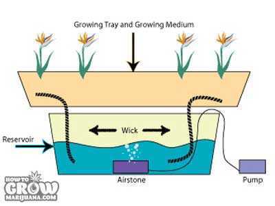 Hydroponic Wick System with Pump