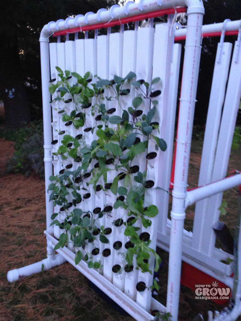 to follow Instructables about building your own Vertical Hydroponics ...