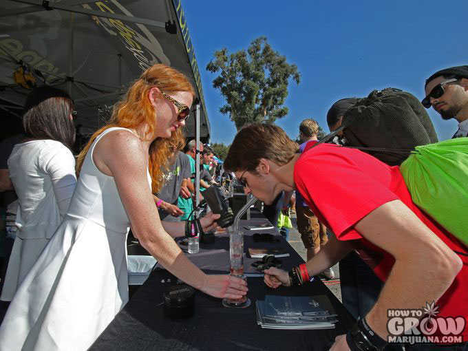 Free Samples at a Cannabis Cup in California