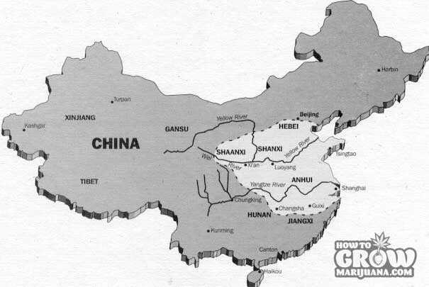 The Region of Eastern China where Cannabis Sativa was Grown by 200 B.C.