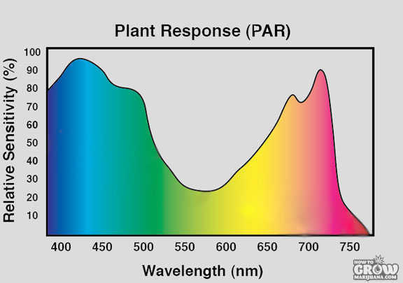 PAR Spectrum Graph