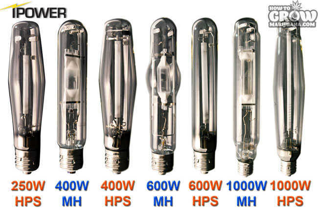 iPower-Grow-Light-Bulbs.jpg