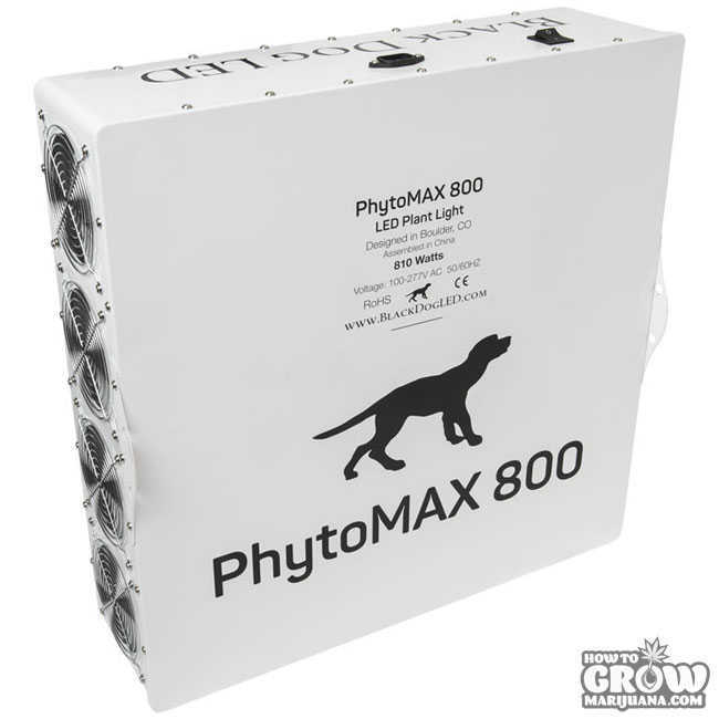 Black Dog Phytomax 800
