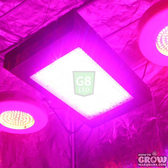 G8 LED Dorm Grow Lights