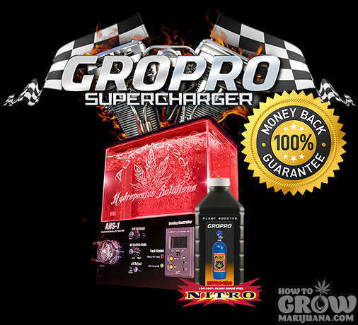 GroPro SuperCharger for Growing Marijuana