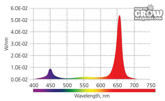 NeoSol DS Spectrum Graph