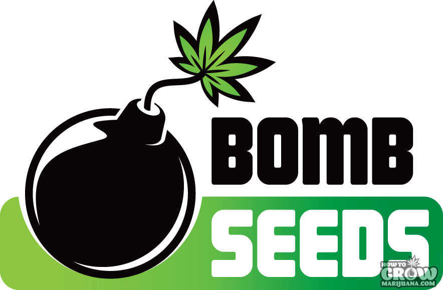 Bomb-Seeds-Logo