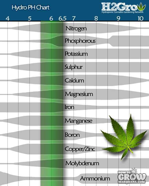 marijuana-growing-ph-chart-hydro