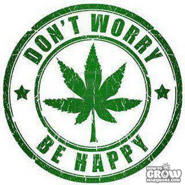 marijuana-simple-cannabis-growing