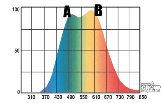 Full spectrum light including chlorophyll A and B