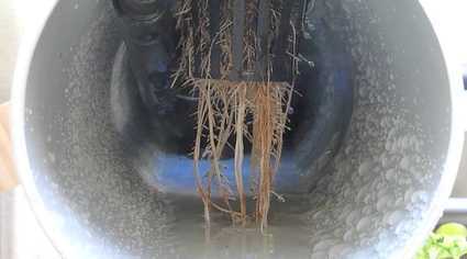 NFT Roots in Channel