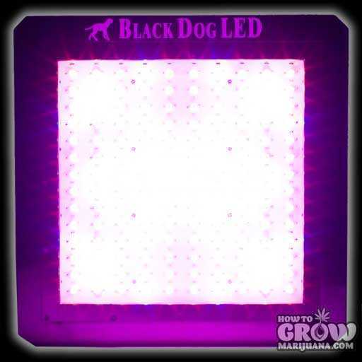 BD360-U Universal Series LEDs Black Dog LED
