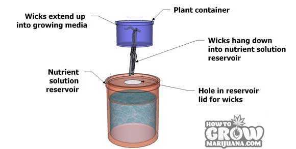 Hydroponic Wick System Plans