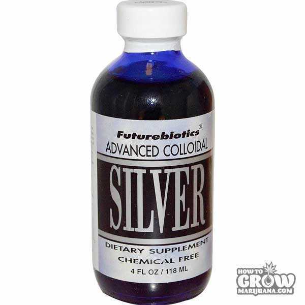 Colloidal Silver to Induce Hermaphrodite