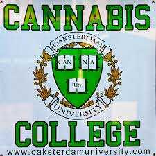 Oakland University Cannabis College