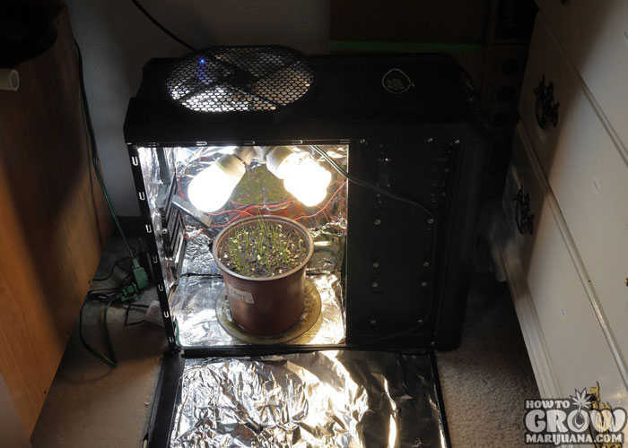DIY Marijuana PC Grow Box