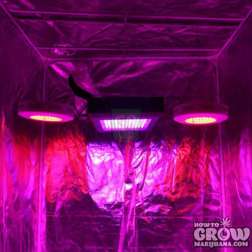 Dorm Grow LED with 90W Red UFOs