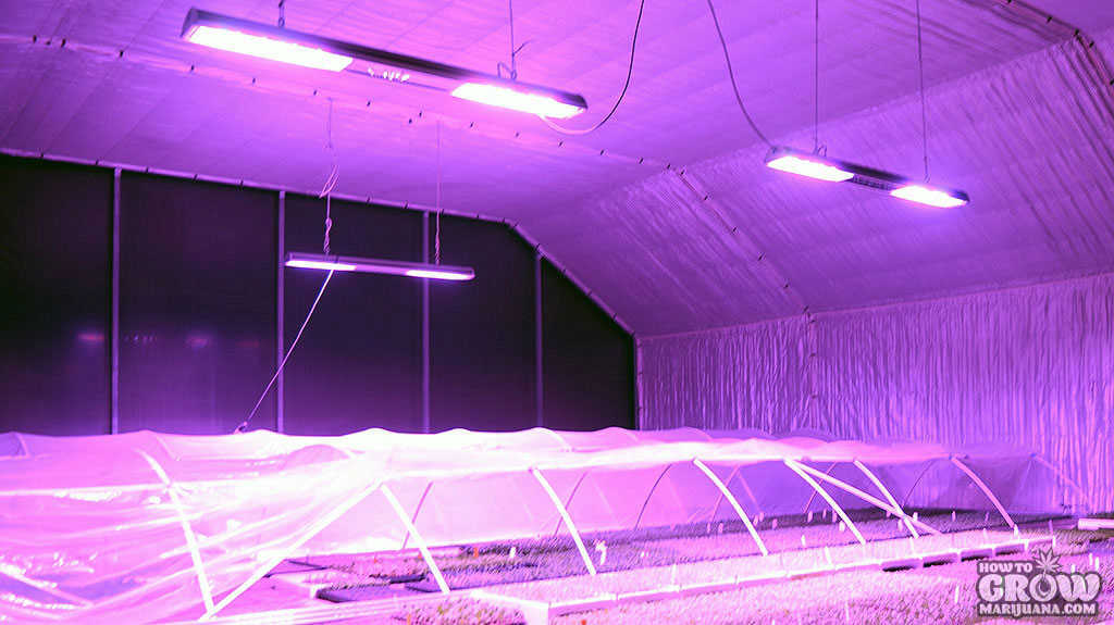 Neonica – Growy LED-254-200W-Greenhouse