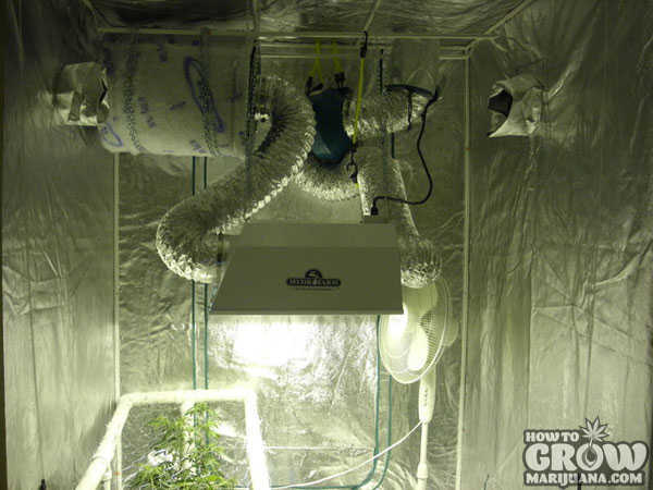 Carbon Filter for Cannabis Grow Tent