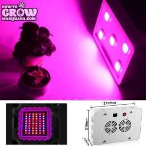 1000 Watt LED Grow Light Vela XT II - Cannabis Grow Light