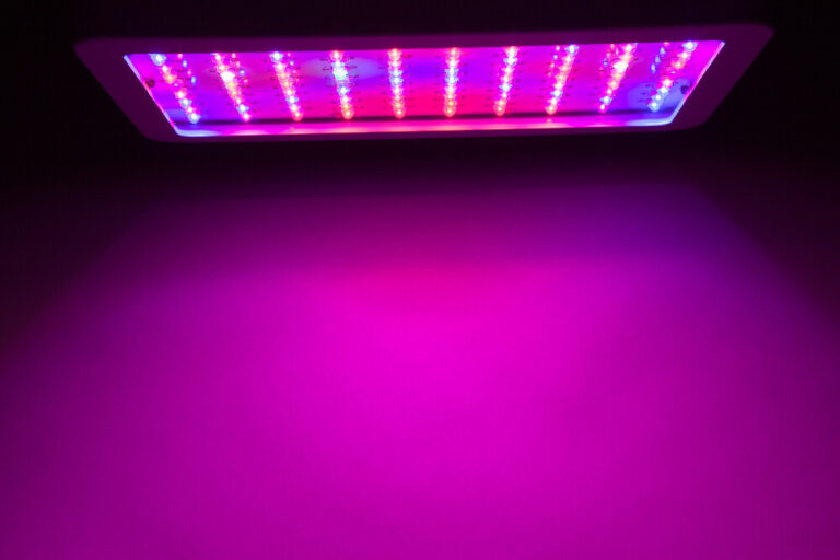 LED grow lights