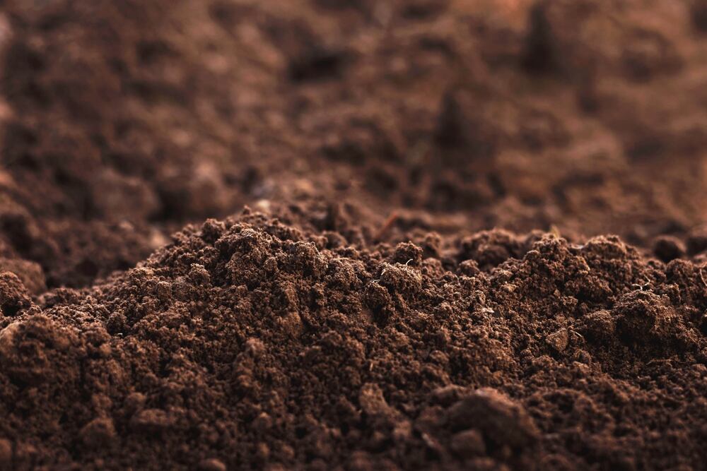 close up of loam soil