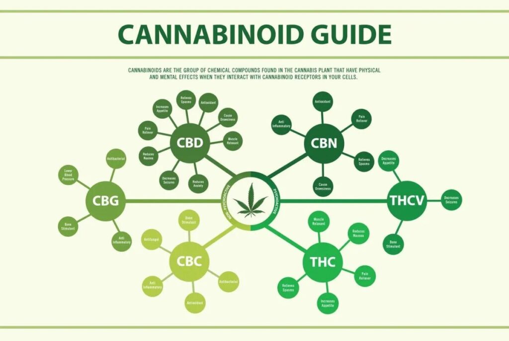 effects in cannabinoids