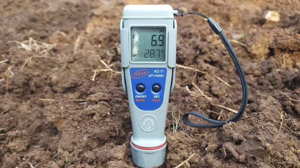 pH meter in the soil.