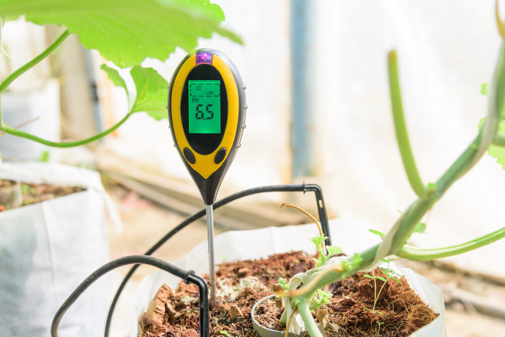 pH meter in soil