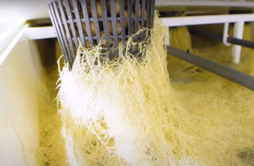 How to Grow Cannabis Using Aeroponics