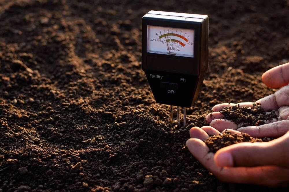 soil meter checker in soil