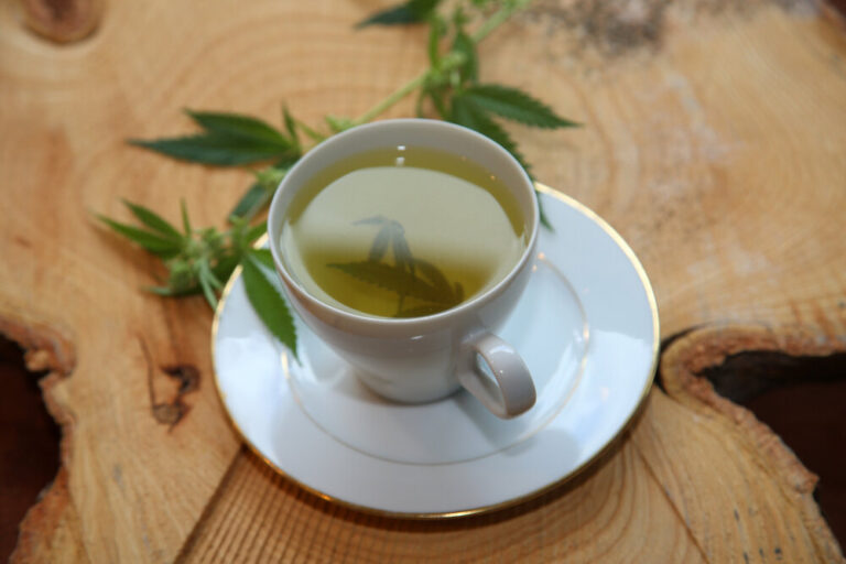 Cannabis Tea in a White Tea Cup with a Marijuana Leaf and Stem with Flowers and Leaves on a Wooden Tree Stump serving tray