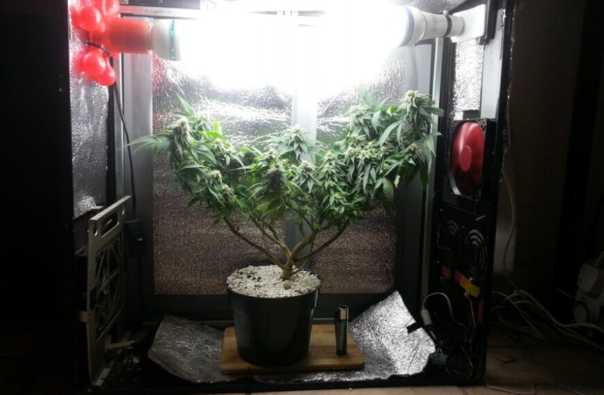 How to Make Your Own PC Grow Box
