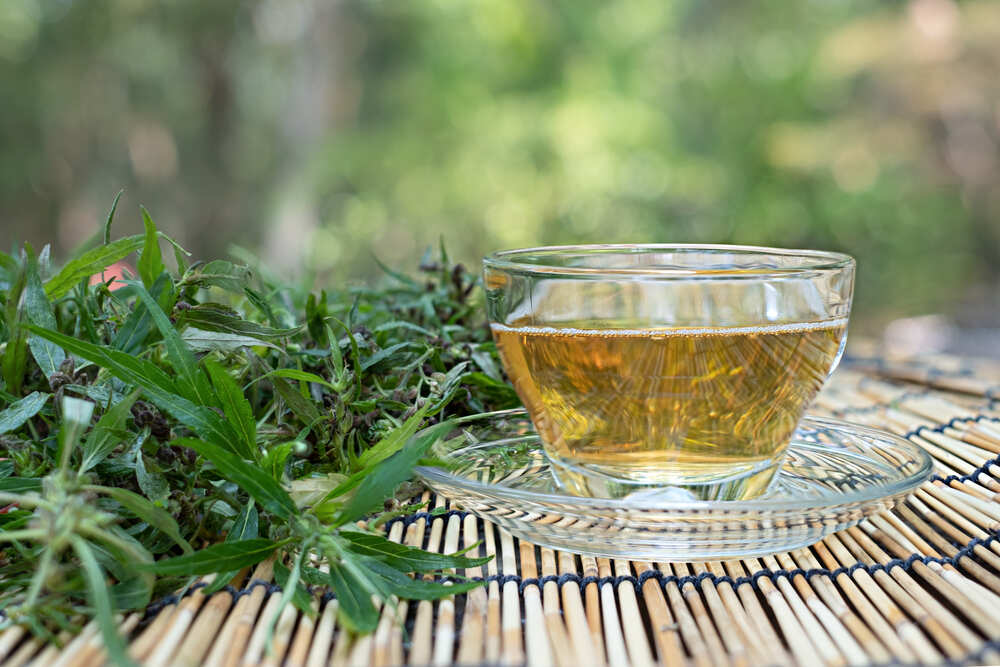 Cannabis tea in a clear glass cup with a green marijuana leaf and stem on wood table