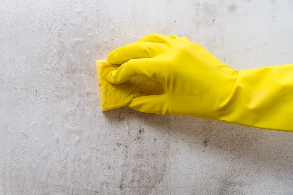 Close-up of a hand washing a wall with a sponge and cleanser