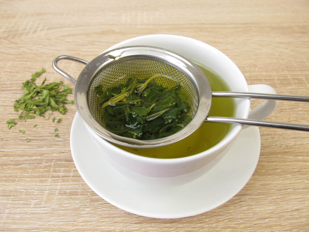 Freshly brewed tea from edible cannabis in tea strainer