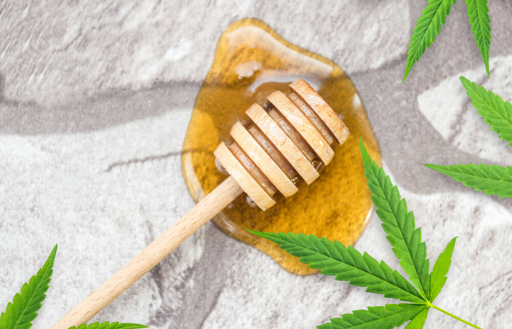 Honey with a honey dipper and Cannabis leaves