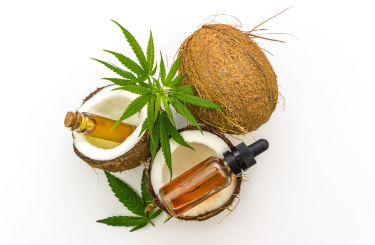 Top view of cracked Coconuts and Cannabis essential oils in glass bottles