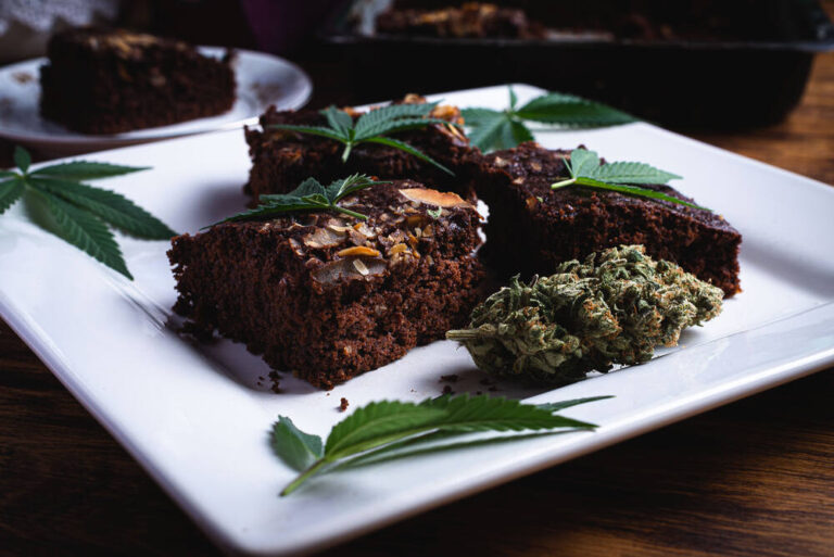 cannabis brownie on plate with cannabis buds and leaves