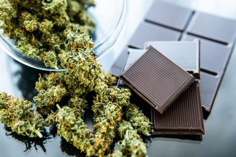 cannabis chocolate with cannabis buds