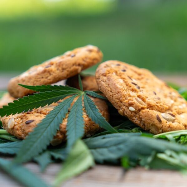 How to Make Cannabis Cookies