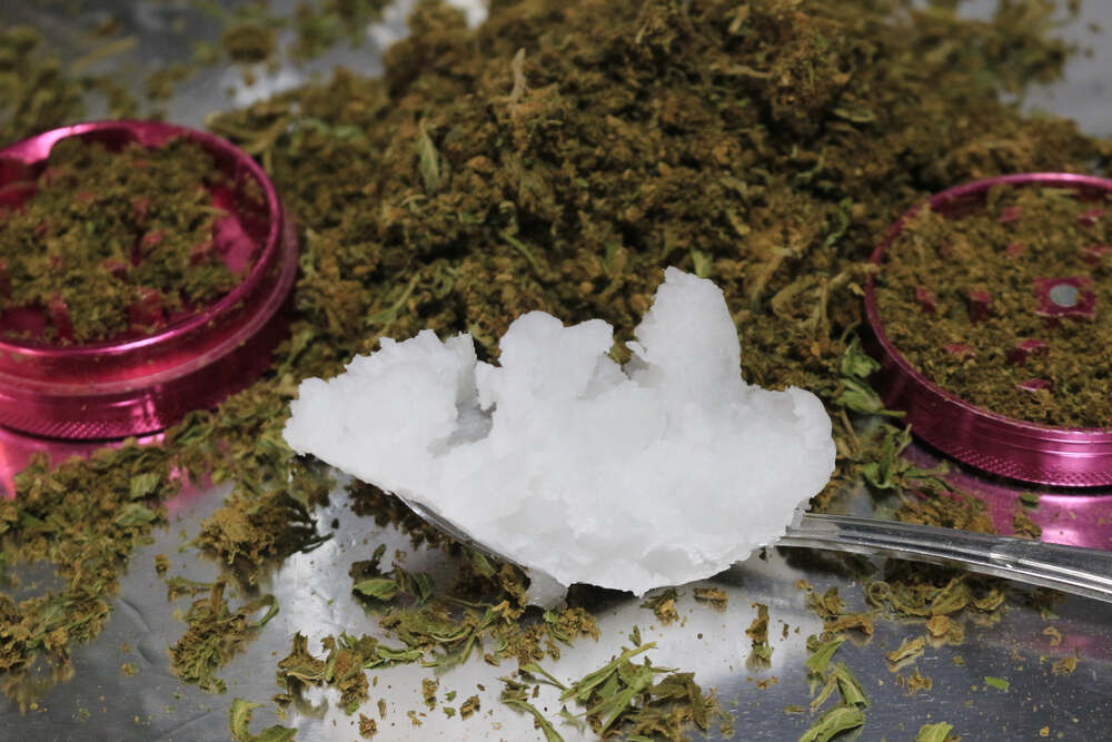  closeup of a spoon full of coconut oil to be infused with decarboxylated cannabis flowers and leaves