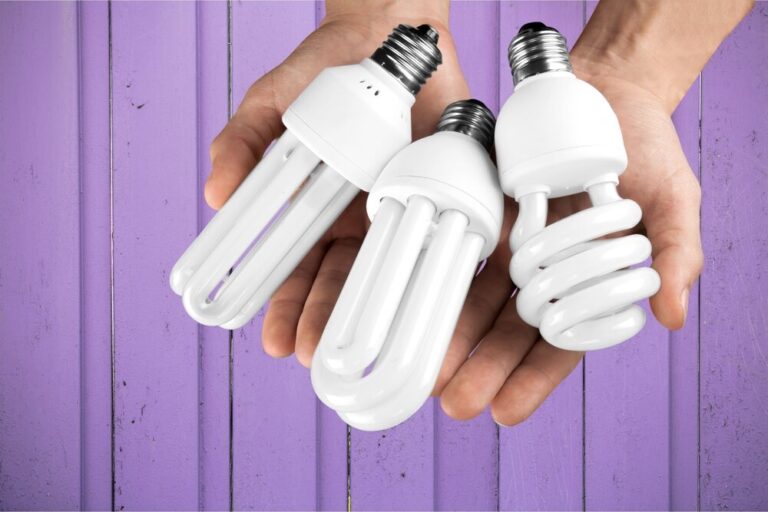 hands holding CFL light bulbs