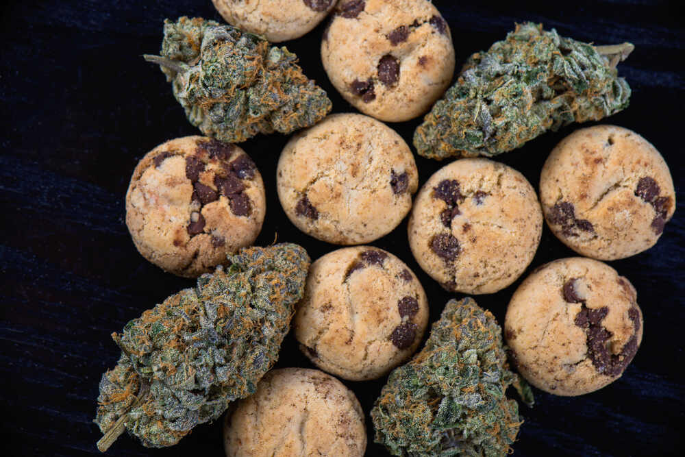 homemade chocolate chip cookies with cannabis buds