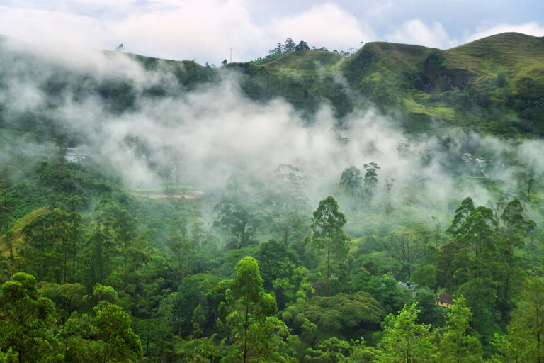 Cloud covers mountain