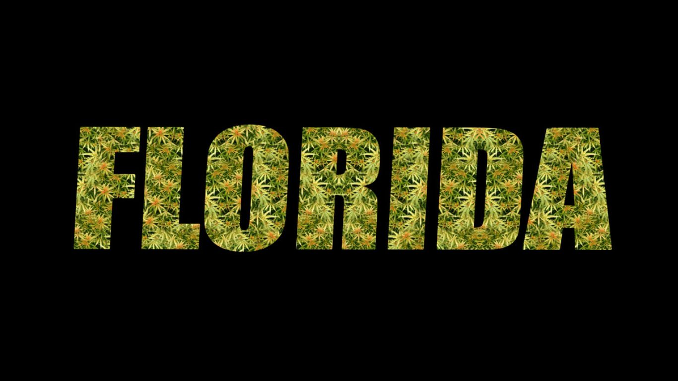 florida cannabis on black background