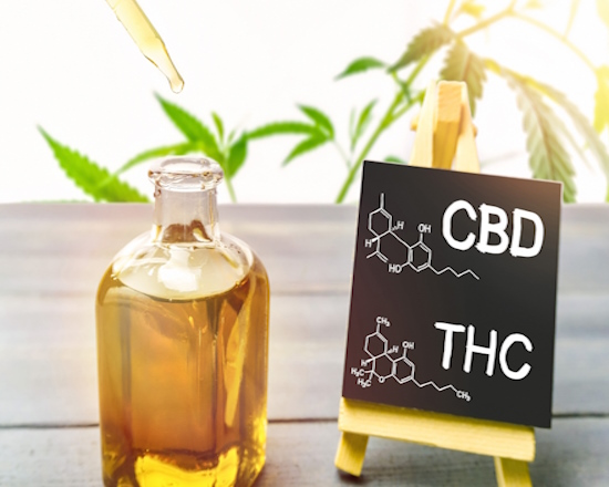 THC vs CBD with cannabis oil and cannabis leaves in background