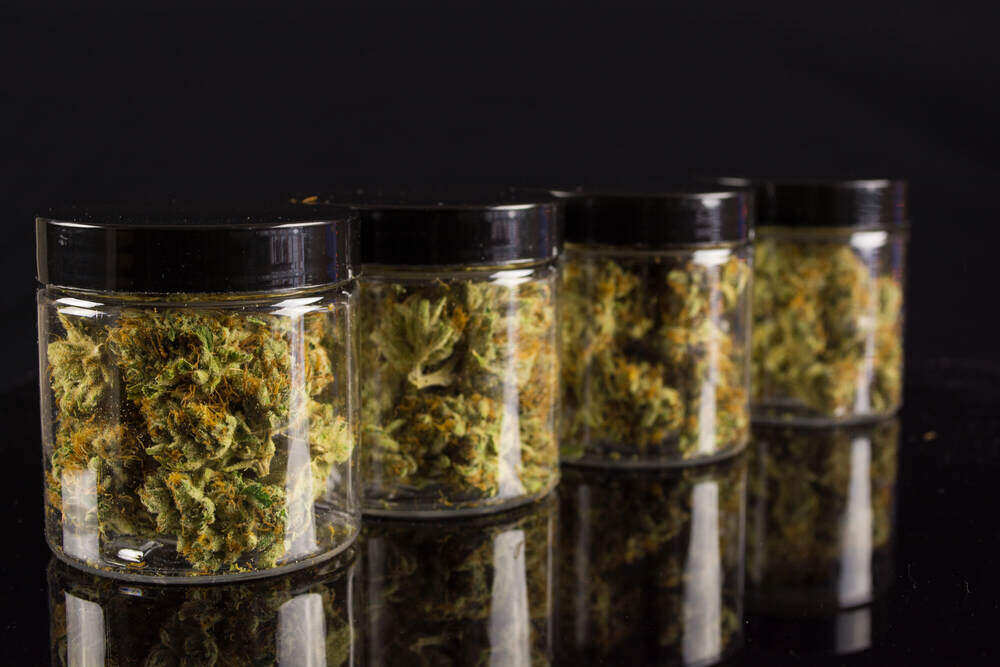 a row of mason jars with cannabis buds inside